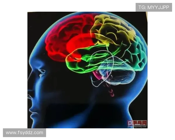 上海乒乓球队防反战术解析与实战应用探讨